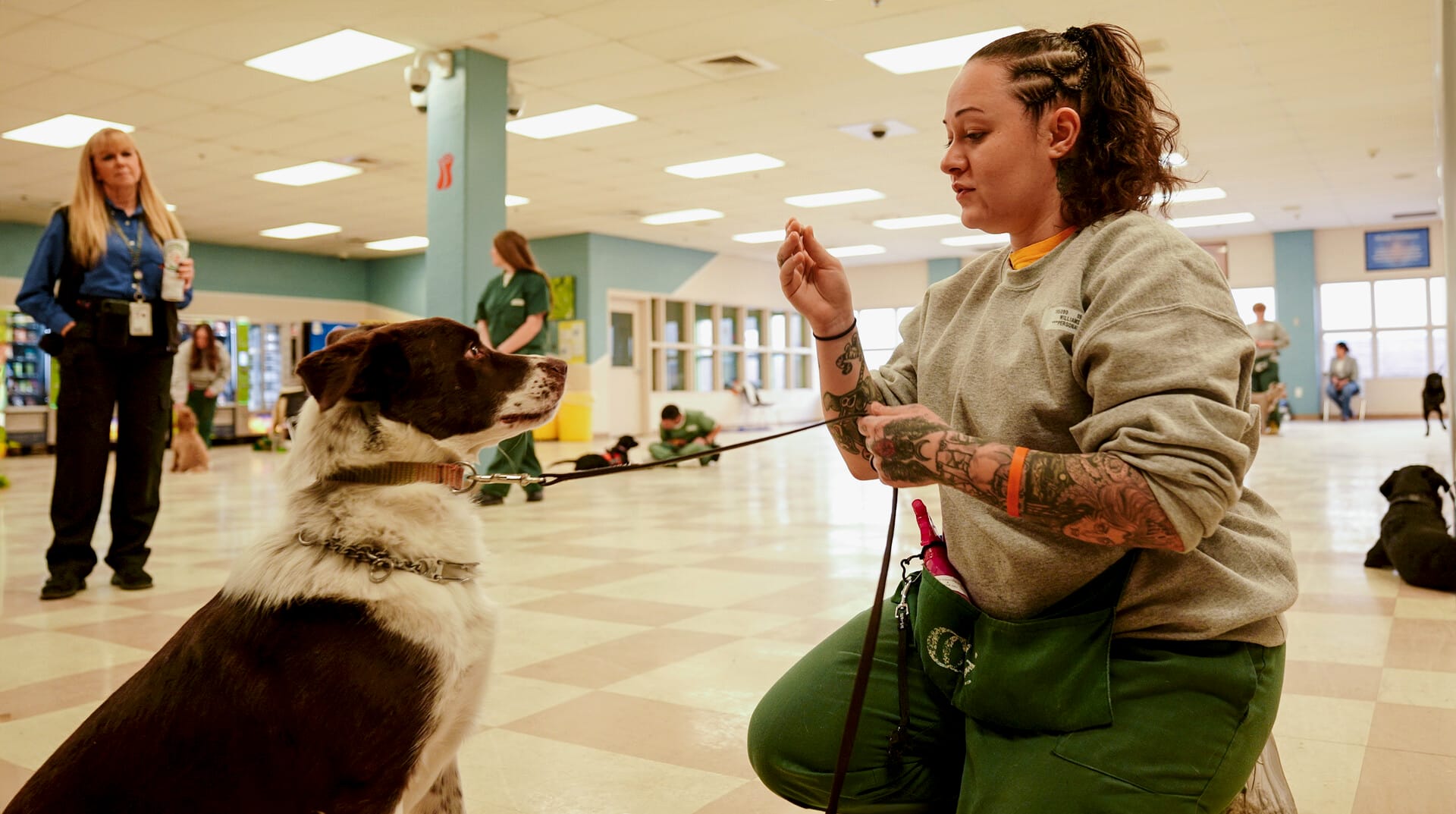 Nothing Safer • BWiFF 2025