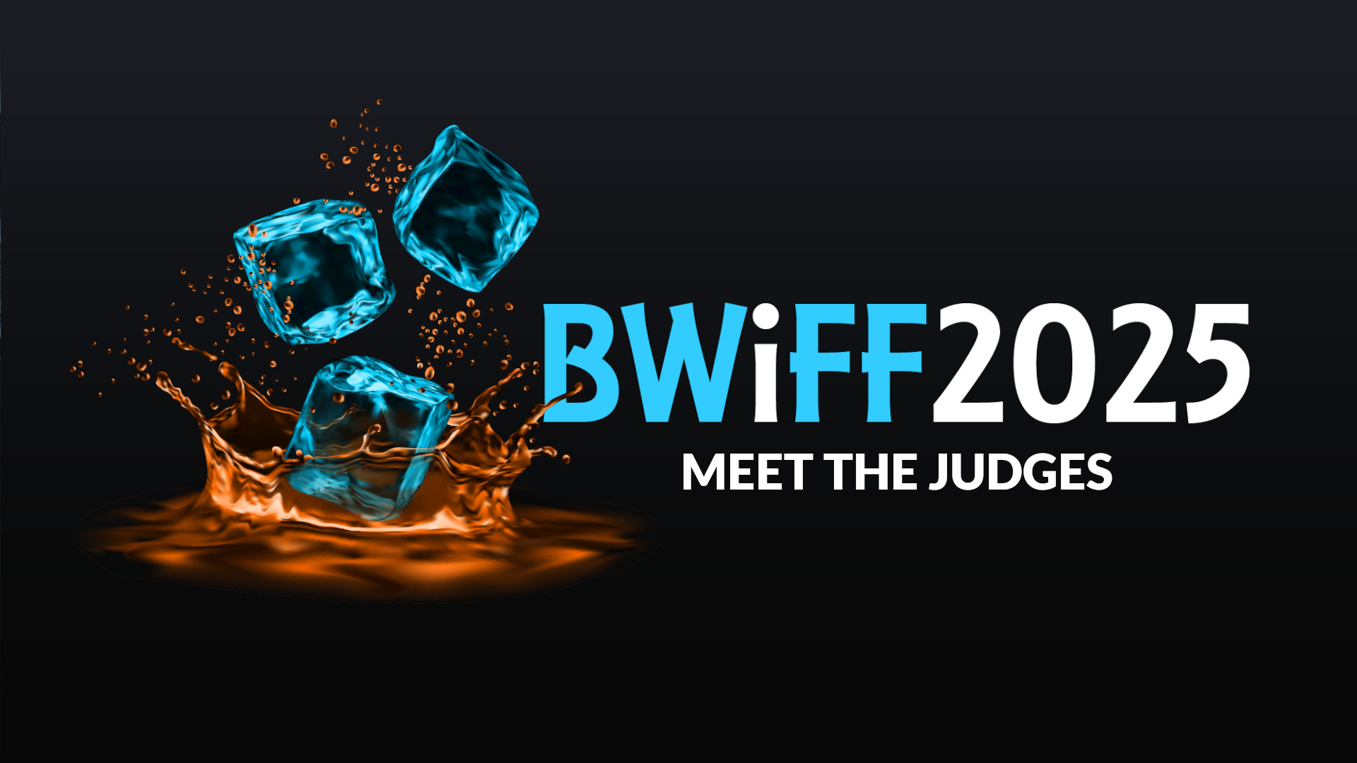 BWiFF 2025 Meet the Judges