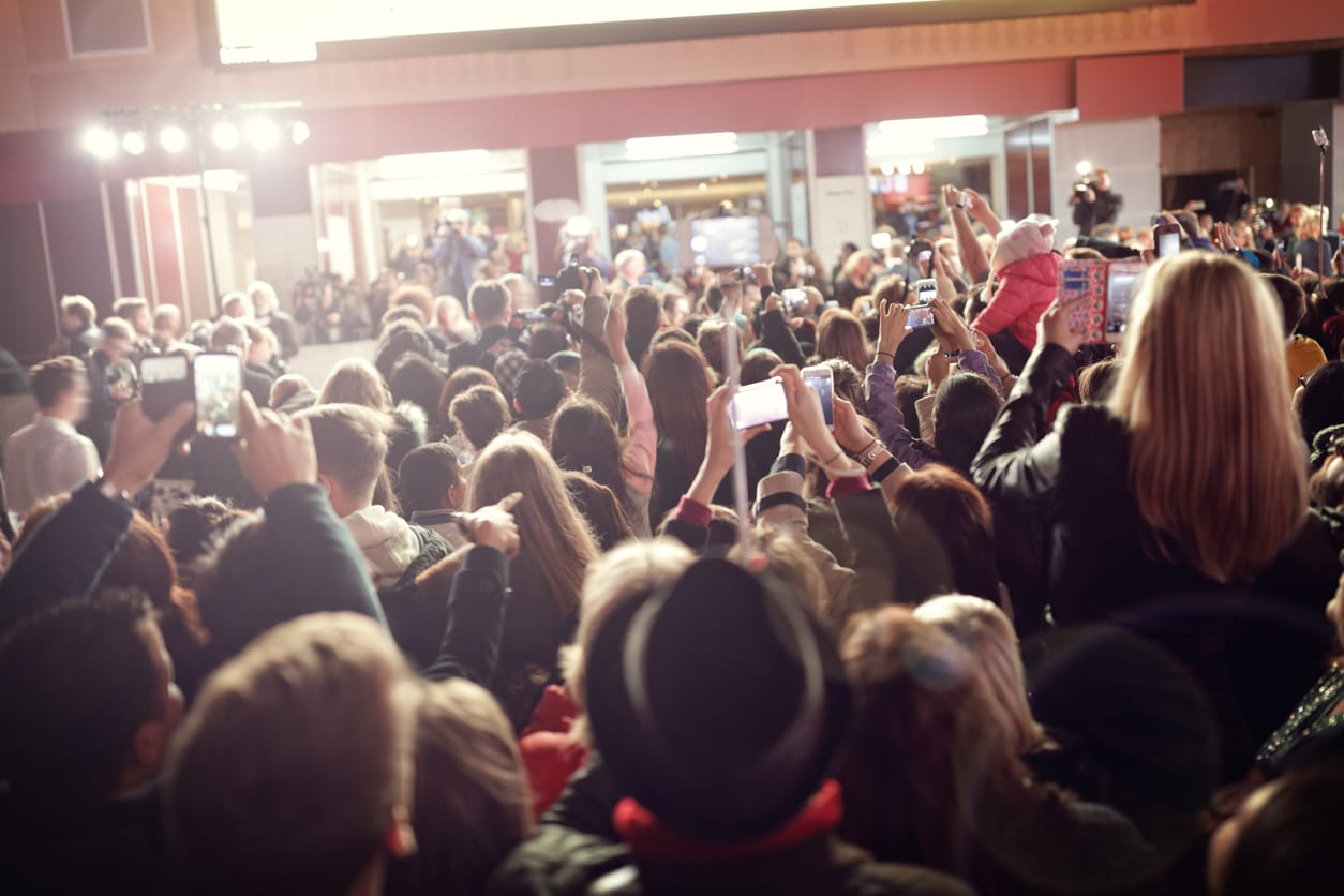 Crowd of Fans at Red Carpet Film Premiere