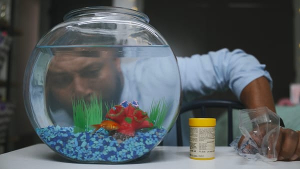 Flush • BWiFF 2025